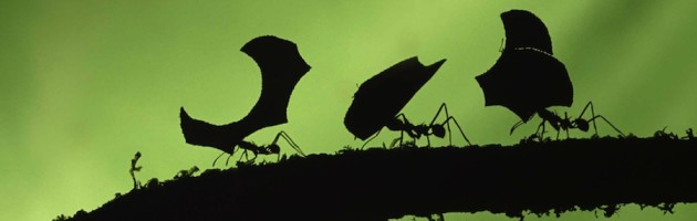 Cos’è la comunicazione aziendale ? E perché mai dovremmo occuparcene ?